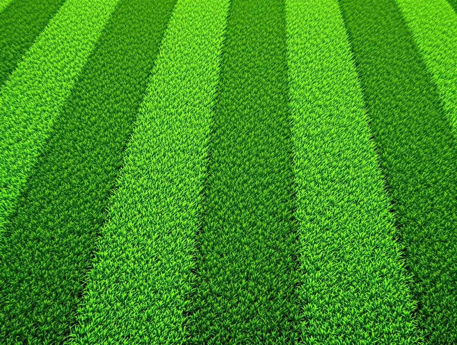Freshly mowed striped lawn